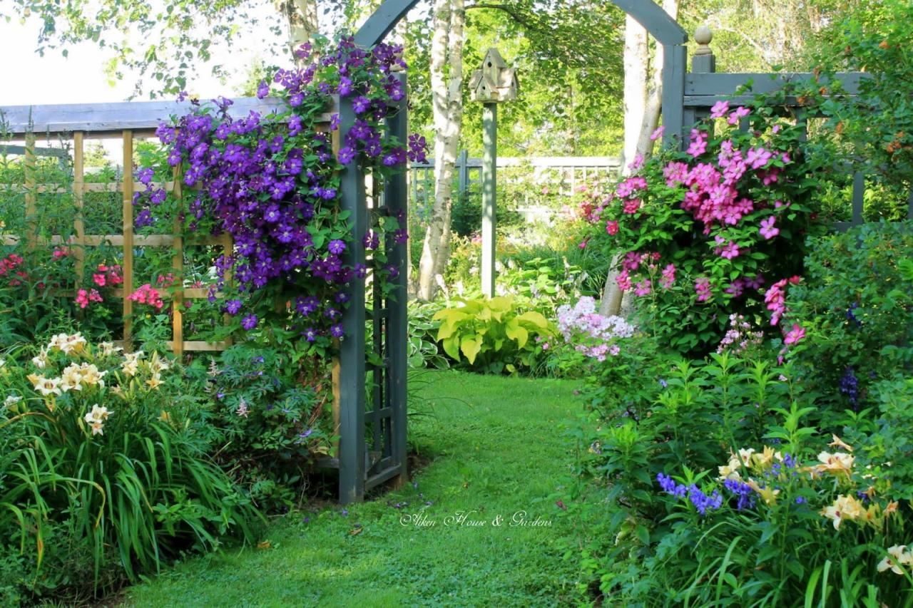 How to Achieve a Stunning Clematis Garden with These Methods