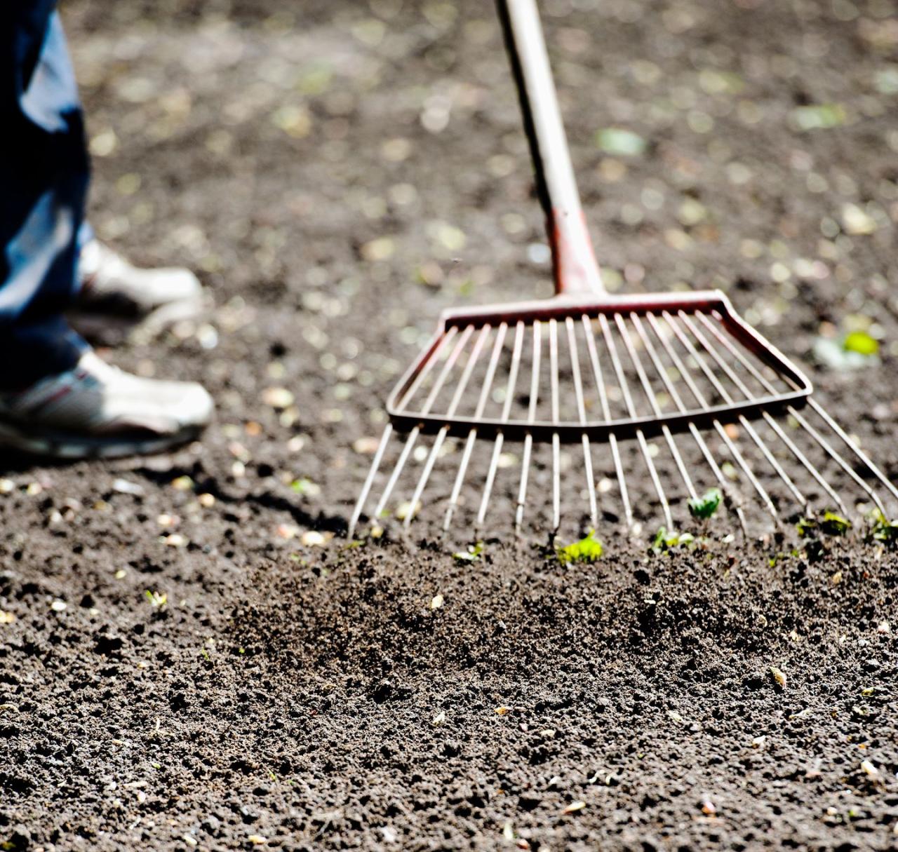 How to Prepare Your Lawn for Grass Seed in September